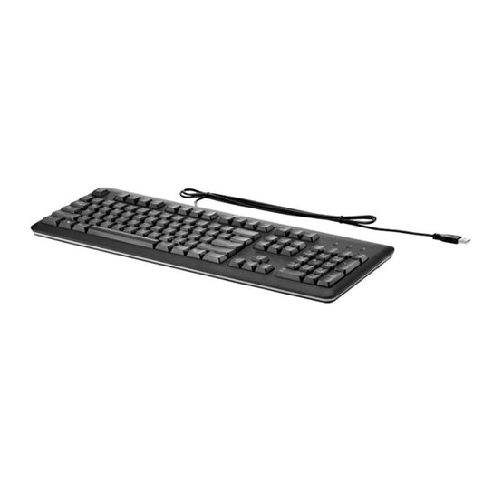 HP USB Keyboard for PC (QY776AA)