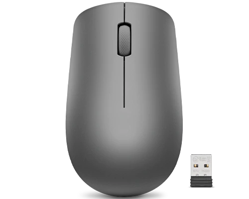 Lenovo 530 Wireless Mouse (Graphite)-GY50Z49089