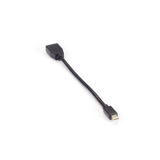 Black Box MINI-DisplayPort 1.2 Male to DisplayPort1.2 Female Adapter