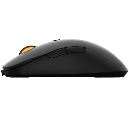 Rapoo V16 with Ergonomic ambidextrous design, Adjustable 2k DPI, 8G acceleration,Breathing light with cyclical changes,Onboard Memory light weight Black.