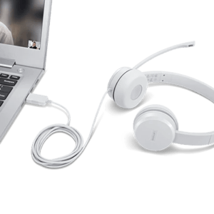 Lenovo 100 Stereo Analogue Headset (Grey)-GXD1B60597